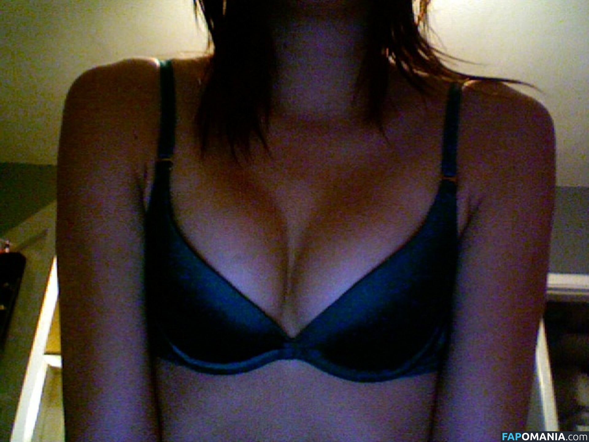 Britni Sheridan Nude Leaked Photo #24