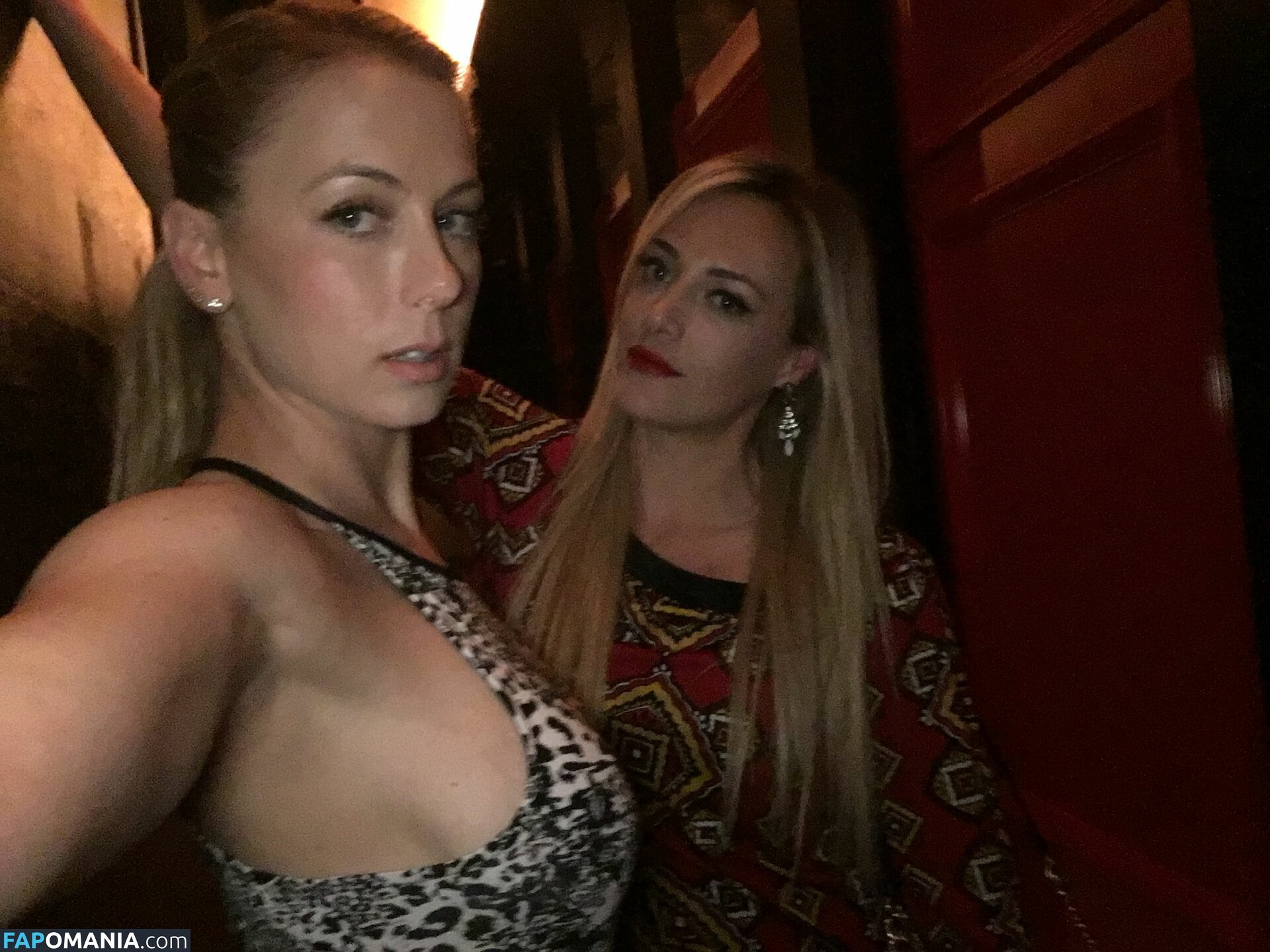 Iliza Shlesinger Nude Leaked Photo #6