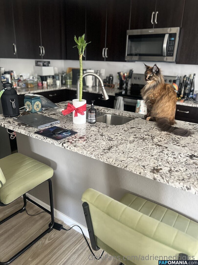 adrienne.driggs / adriennedriggs Nude OnlyFans  Leaked Photo #9