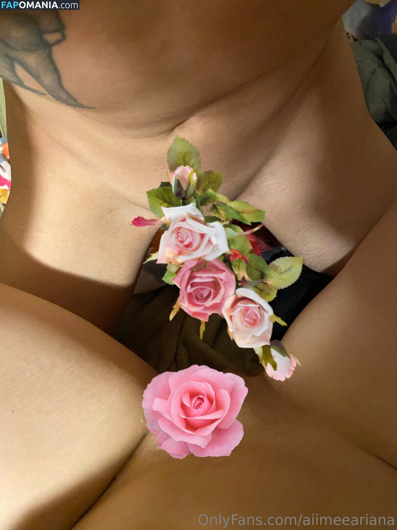 aiimeeariana Nude OnlyFans  Leaked Photo #3