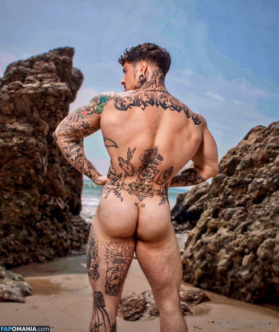 alfienorth / alfienorthfree Nude OnlyFans  Leaked Photo #43