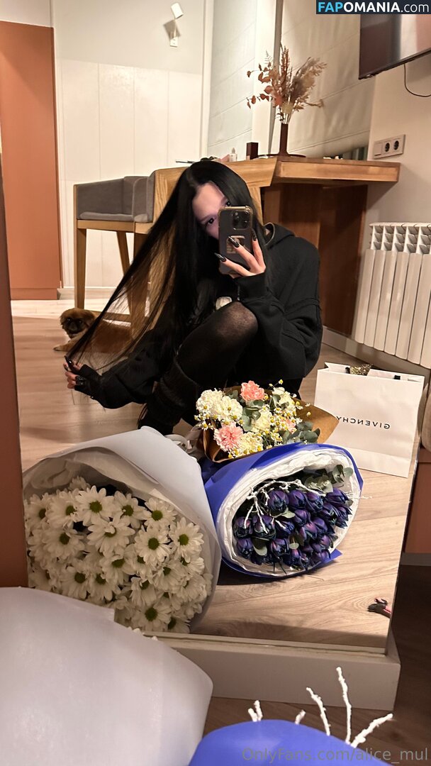 alice_mul / l_amulette Nude OnlyFans  Leaked Photo #17