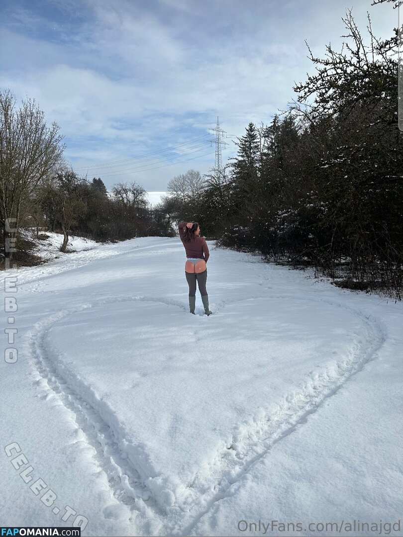 alinajgd / alinas.jgd Nude OnlyFans  Leaked Photo #1