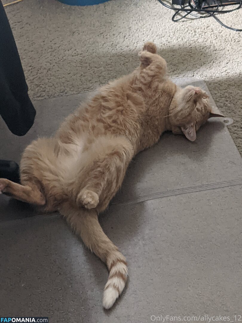 allycakes_12 Nude OnlyFans  Leaked Photo #3