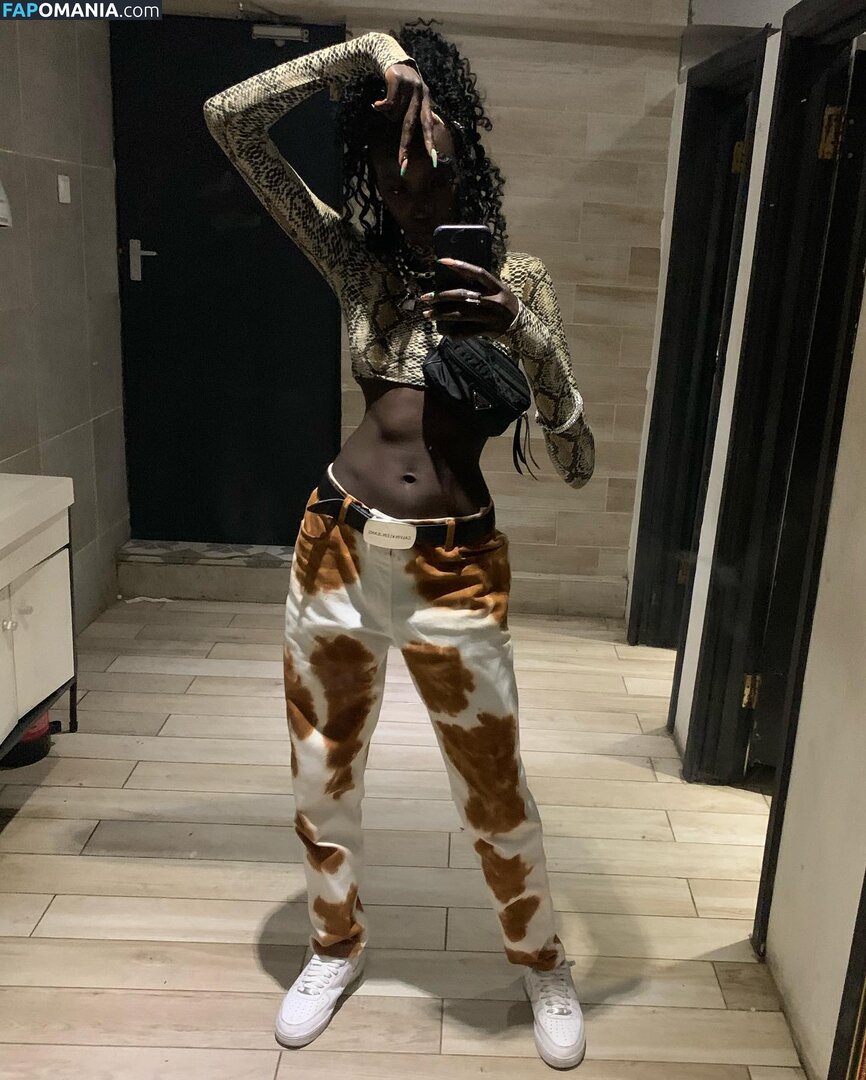 Anok Yai / anokyai Nude OnlyFans  Leaked Photo #18