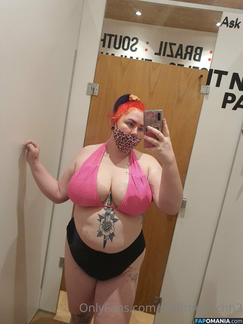 bigtittybitchh2 / bigtittybitchs Nude OnlyFans  Leaked Photo #26