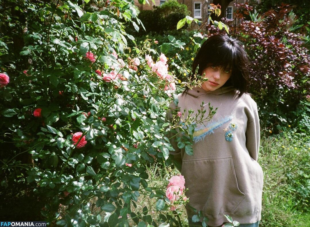 Billie Eilish / Fake / billeeilish / billieeilish Nude OnlyFans  Leaked Photo #2228