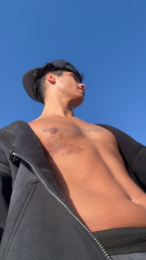 brandoncardoso