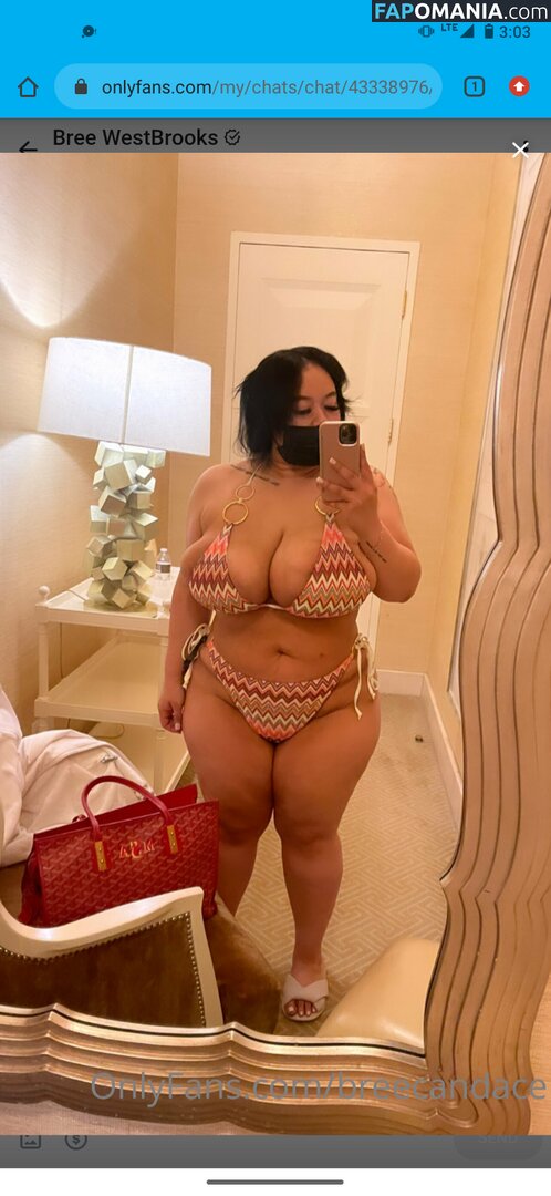 Bree westbrooks / Breecandace Nude OnlyFans  Leaked Photo #14