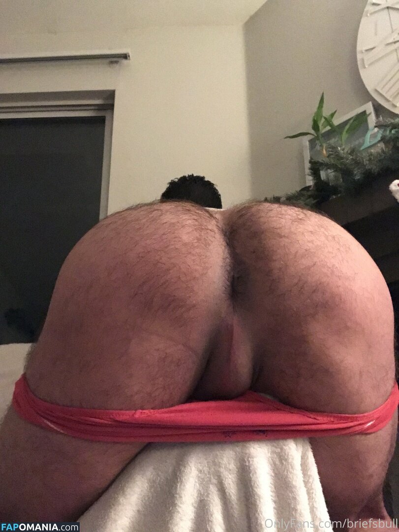 beefybunzz / briefsbull Nude OnlyFans  Leaked Photo #48