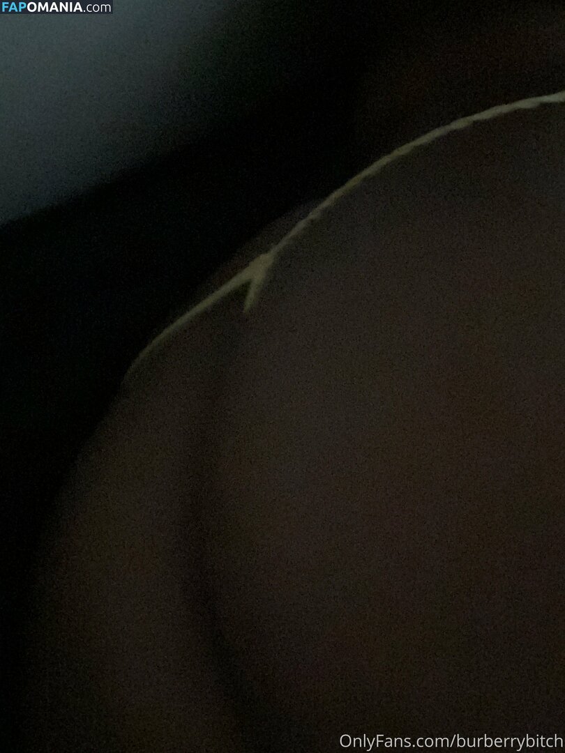 burberrybitch Nude OnlyFans  Leaked Photo #13