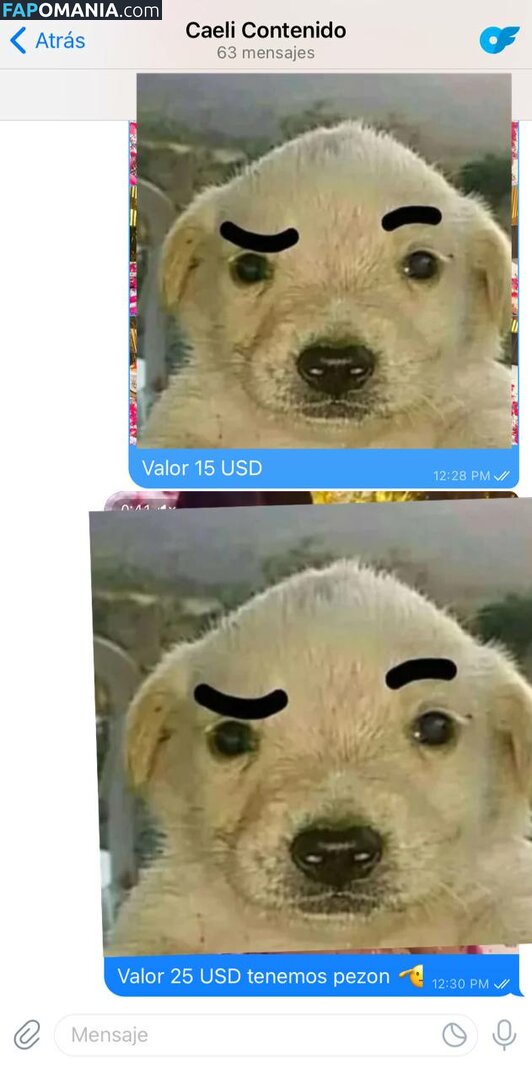 Caeli / Caelike / Caeliyt / caeliexclusive Nude OnlyFans  Leaked Photo #160