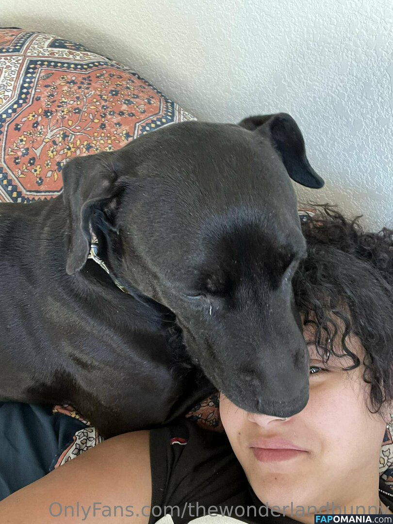 CairoBunny / ucairo-bunny Nude OnlyFans  Leaked Photo #91