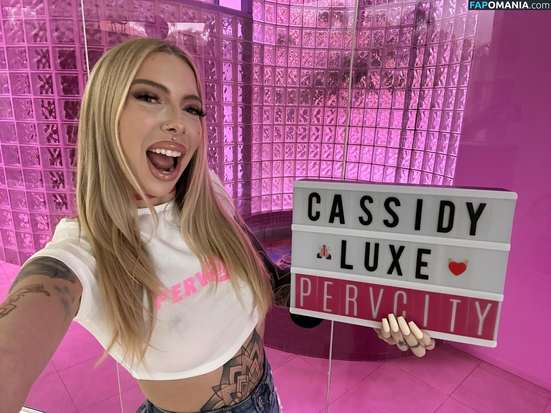 Cassidy Luxe / Tattoed anal slut / itscassidyluxe Nude OnlyFans  Leaked Photo #10