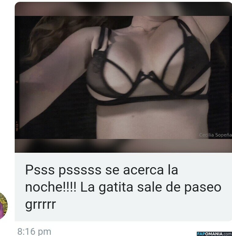 Cecilia Sopeña / cecilia.sopenaespa Nude OnlyFans  Leaked Photo #7