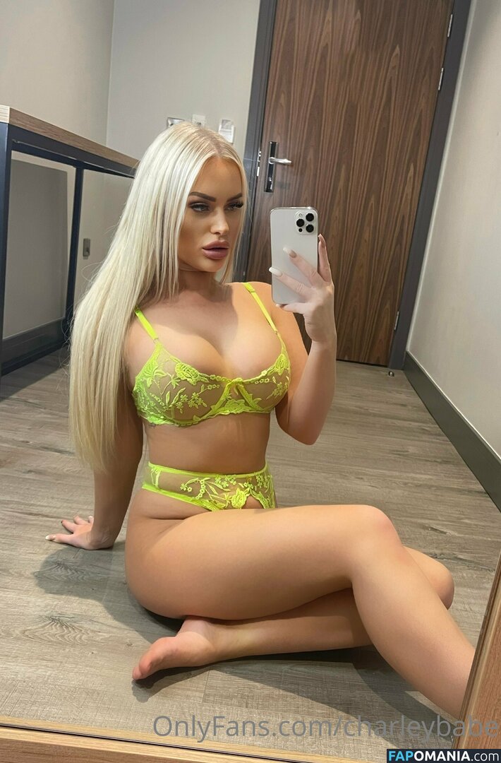 charleybabe Nude OnlyFans  Leaked Photo #8