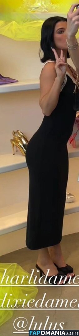 Charli D'Amelio / Charli Damelio / charlidamelio / charliesdamelio Nude OnlyFans  Leaked Photo #1287