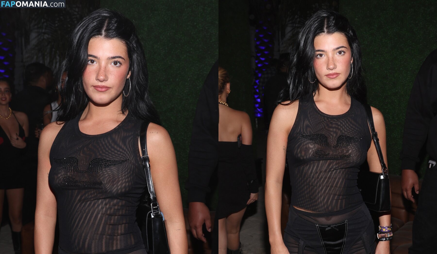 Charli D'Amelio / Charli Damelio / charlidamelio / charliesdamelio Nude OnlyFans  Leaked Photo #1550