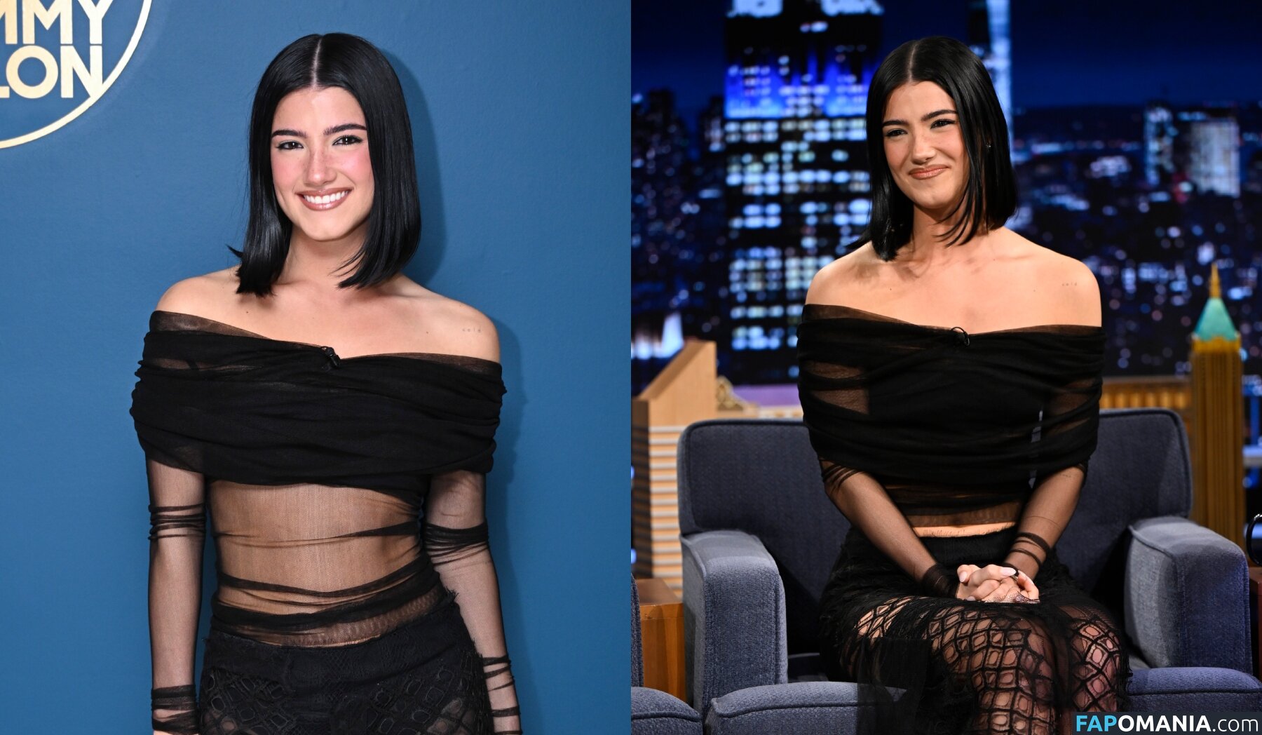 Charli D'Amelio / Charli Damelio / charlidamelio / charliesdamelio Nude OnlyFans  Leaked Photo #1560