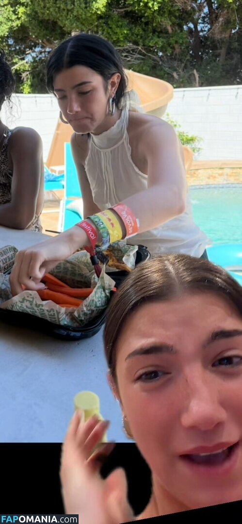 Charli D'Amelio / Charli Damelio / charlidamelio / charliesdamelio Nude OnlyFans  Leaked Photo #1654