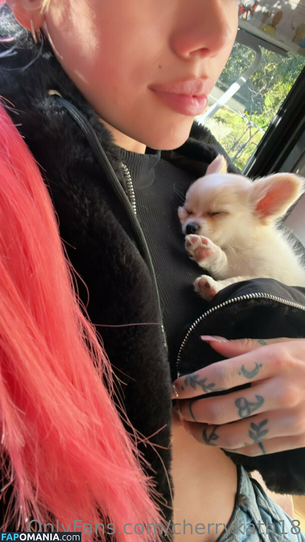 cherrykath18 Nude OnlyFans  Leaked Photo #19