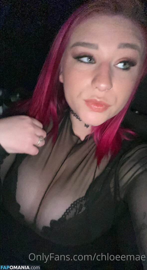 Chloee Mae / chloeemae / chloeemaecasual / chloeemaexoxo Nude OnlyFans  Leaked Photo #156