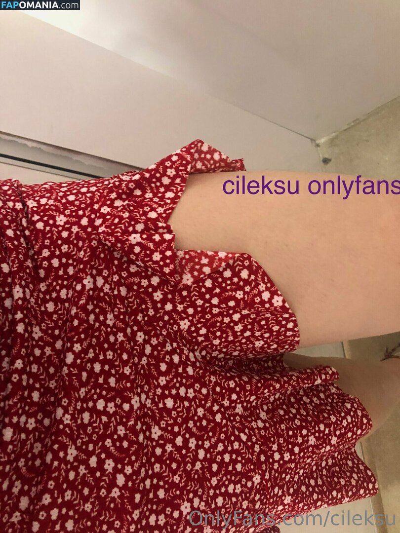cile_ksu / cileksu Nude OnlyFans  Leaked Photo #8