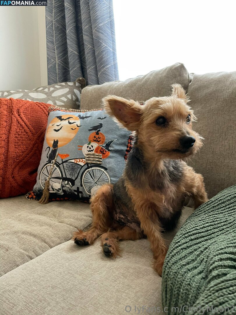 cindymoon007 / cindymoon7 Nude OnlyFans  Leaked Photo #280