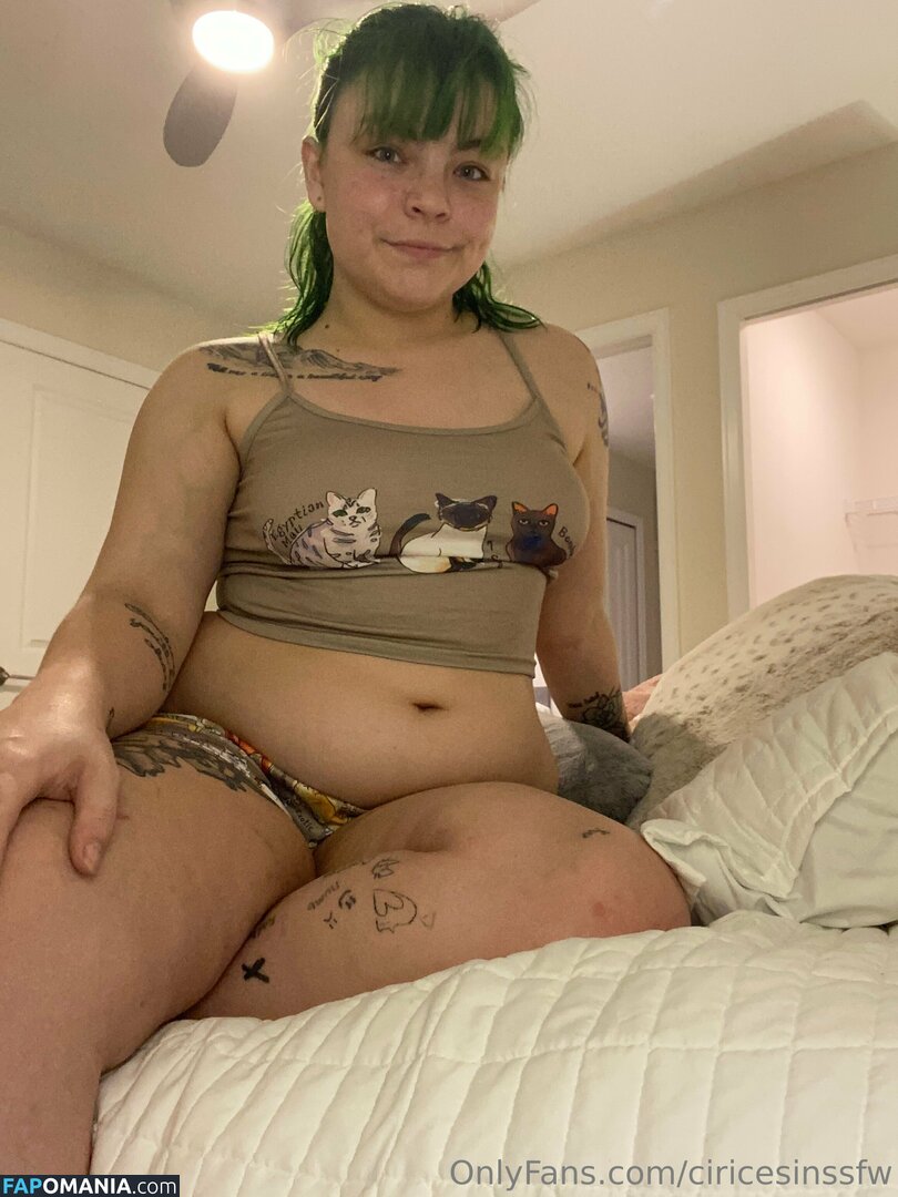 ciricesinssfw / ficcew_s Nude OnlyFans  Leaked Photo #164