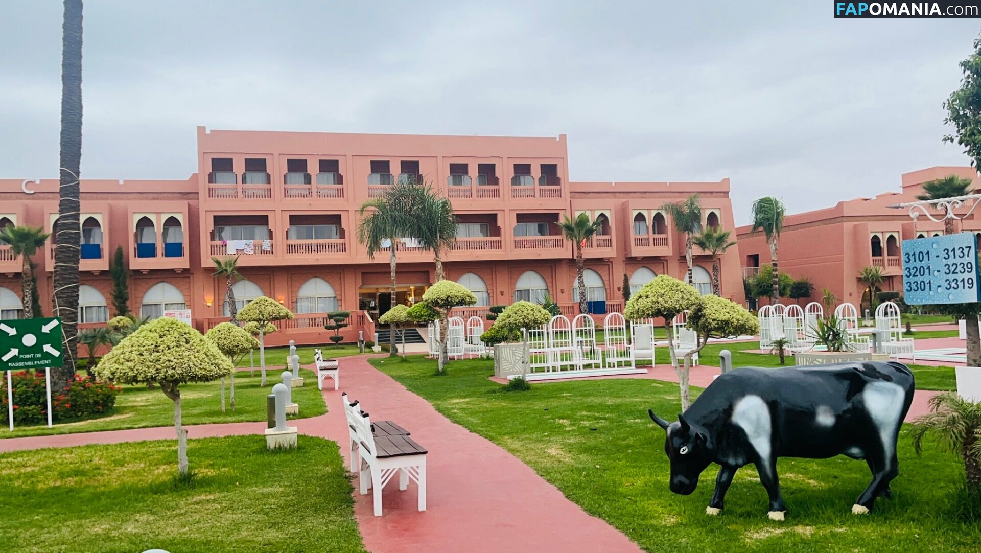 chloz.ee / coco-lls Nude OnlyFans  Leaked Photo #7