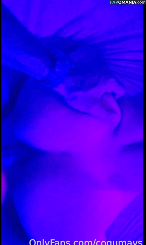 Cogumays / Mayara Vér Meyer Nude OnlyFans  Leaked Photo #465