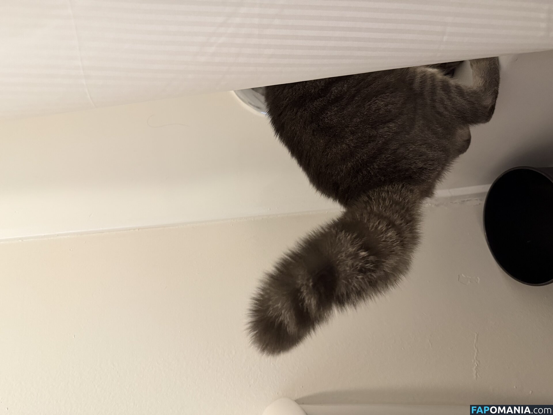 dahniks / dahnikz Nude OnlyFans  Leaked Photo #15