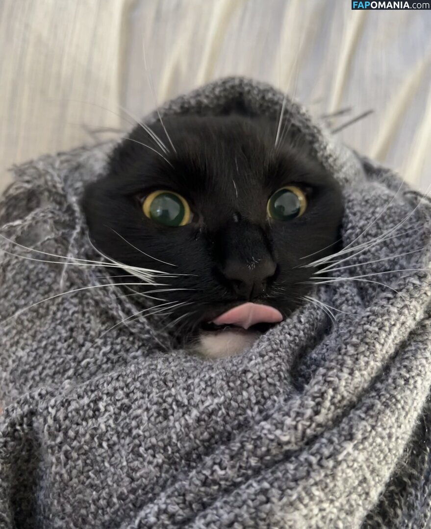 dahniks / dahnikz Nude OnlyFans  Leaked Photo #19