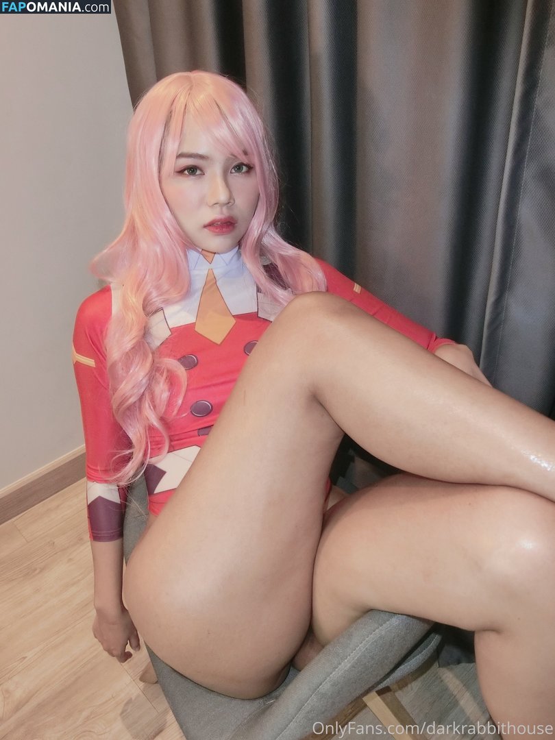 Darkrabbithouse / asianfansorg Nude OnlyFans  Leaked Photo #17