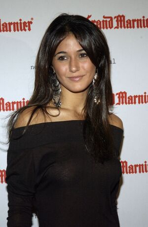 Emmanuelle Chriqui