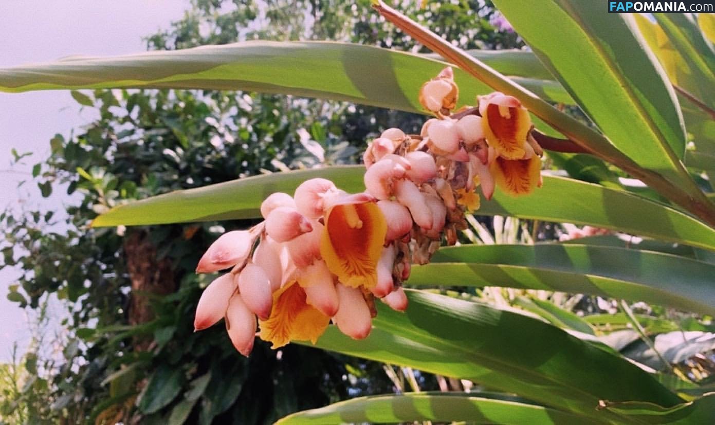 Erin Ashford / erinashford / erincaity Nude OnlyFans  Leaked Photo #11