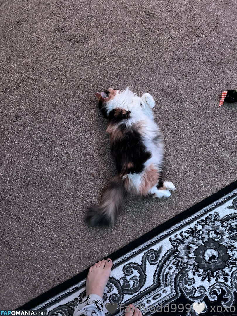 fairlyodd222 Nude OnlyFans  Leaked Photo #6