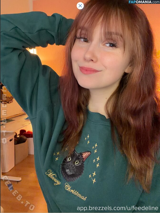 Feedeline / itsonly_feli Nude OnlyFans  Leaked Photo #1