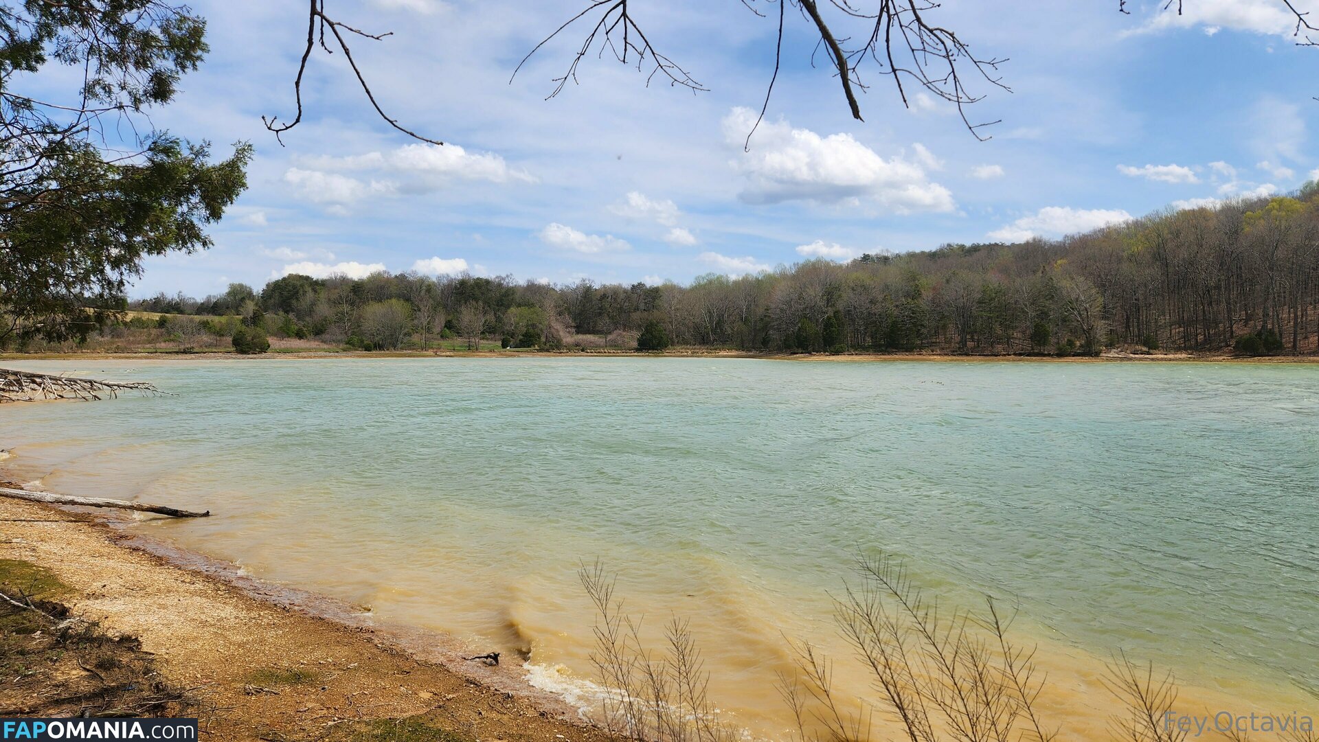 fey.octavia.free / feyoctavia Nude OnlyFans  Leaked Photo #7