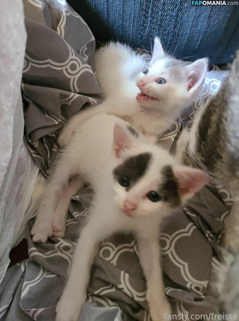 Freista / Tittykona / _mofreitas Nude OnlyFans  Leaked Photo #16