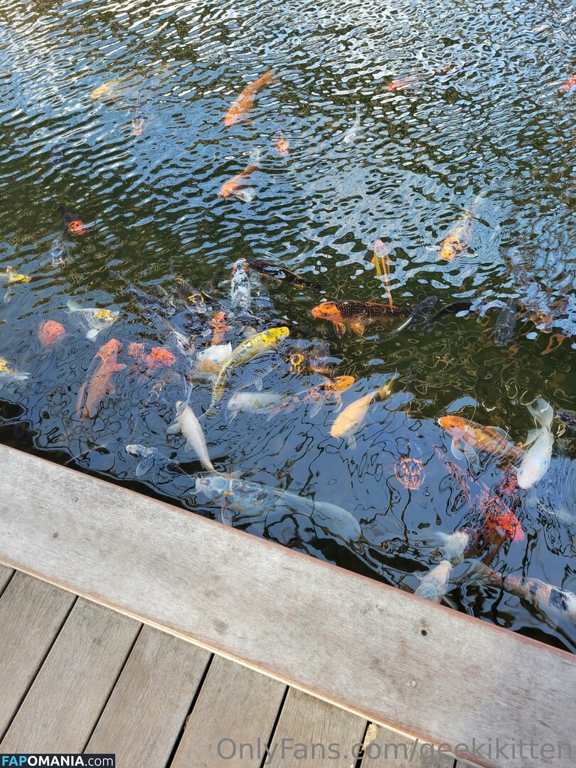 geekikitten / geekykittenxo Nude OnlyFans  Leaked Photo #4