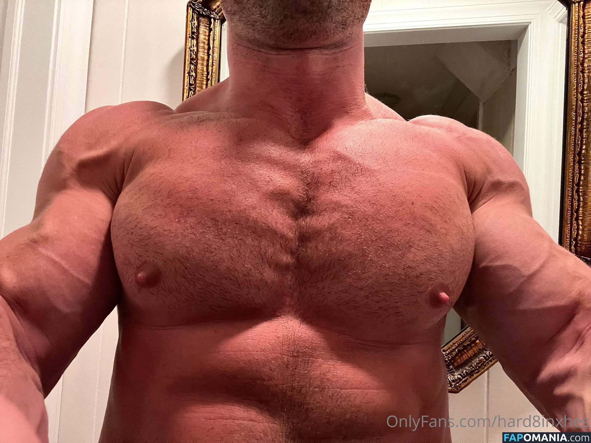 hard8inxhes Nude OnlyFans  Leaked Photo #4