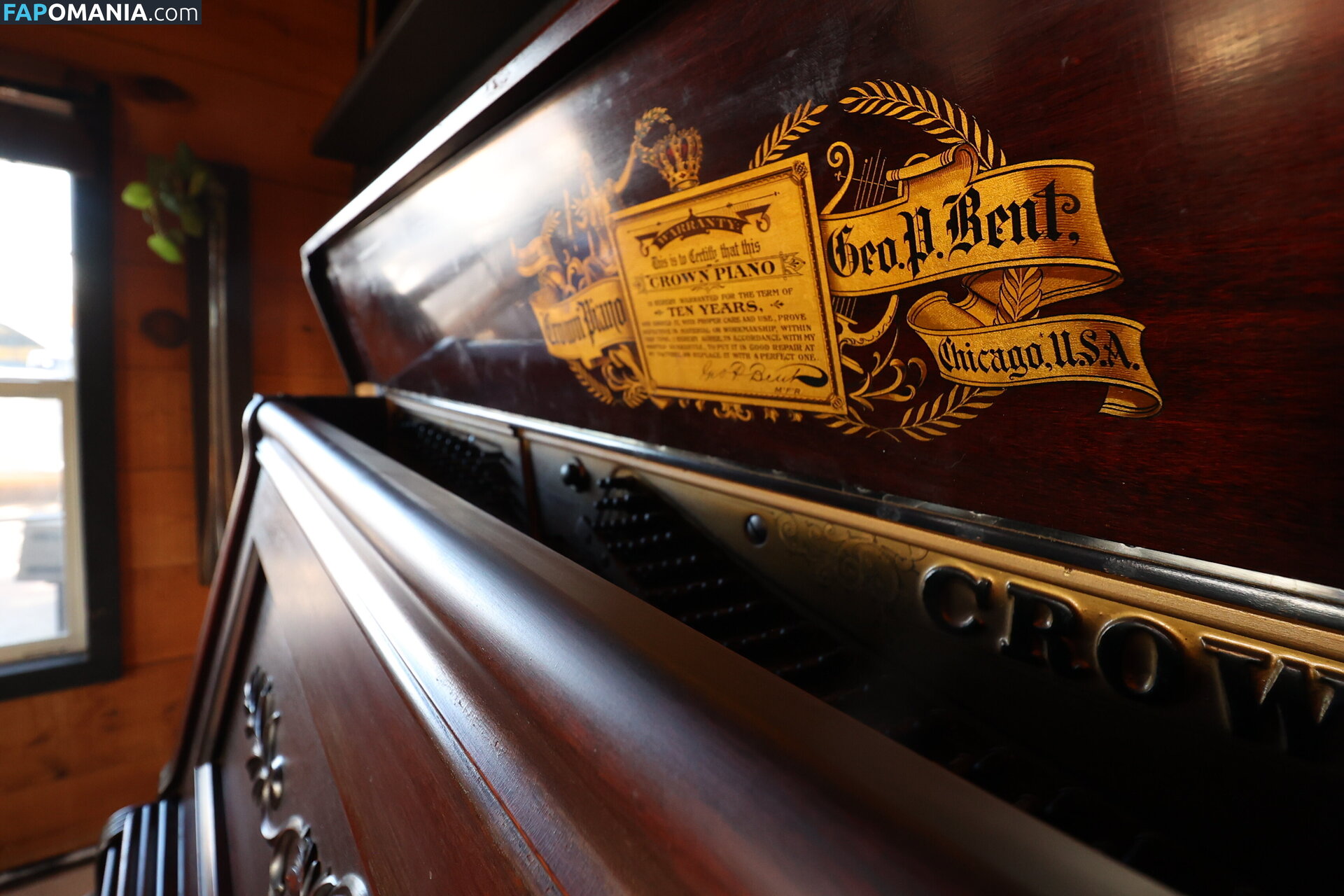 harlemhookup Nude OnlyFans  Leaked Photo #20