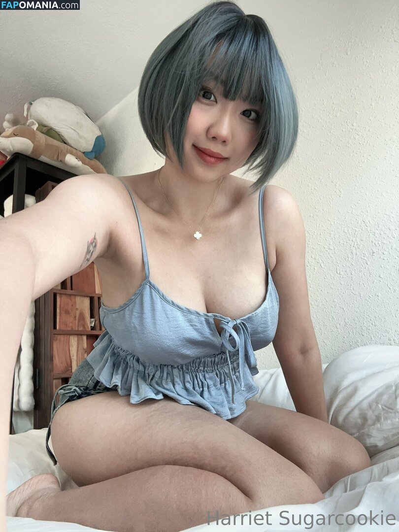 HSugarCookie / Harriet Sugarcookie / harrietsugarcookie / iamharrietsugarcookie Nude OnlyFans  Leaked Photo #85