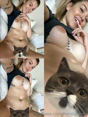 heidigreytv