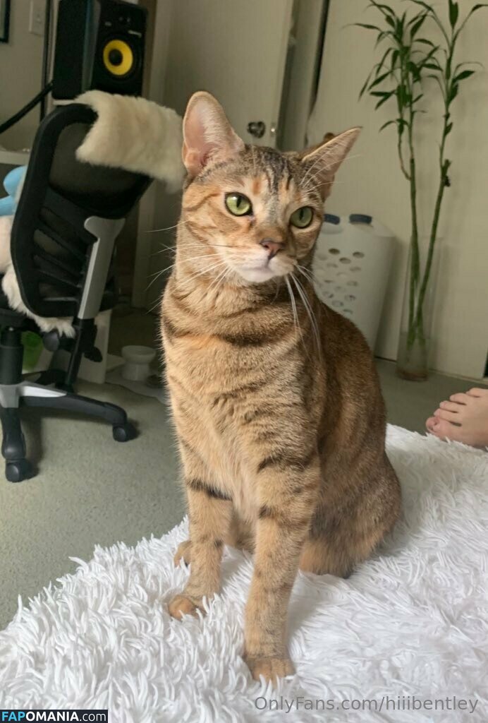 hiiibentley Nude OnlyFans  Leaked Photo #5