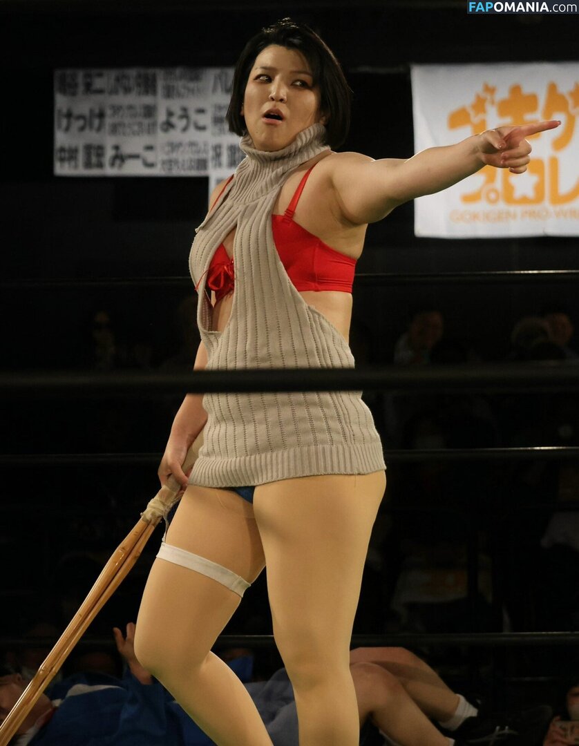 Hikaru Shida / shidahikaru Nude OnlyFans  Leaked Photo #10
