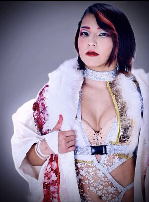 Hikaru Shida