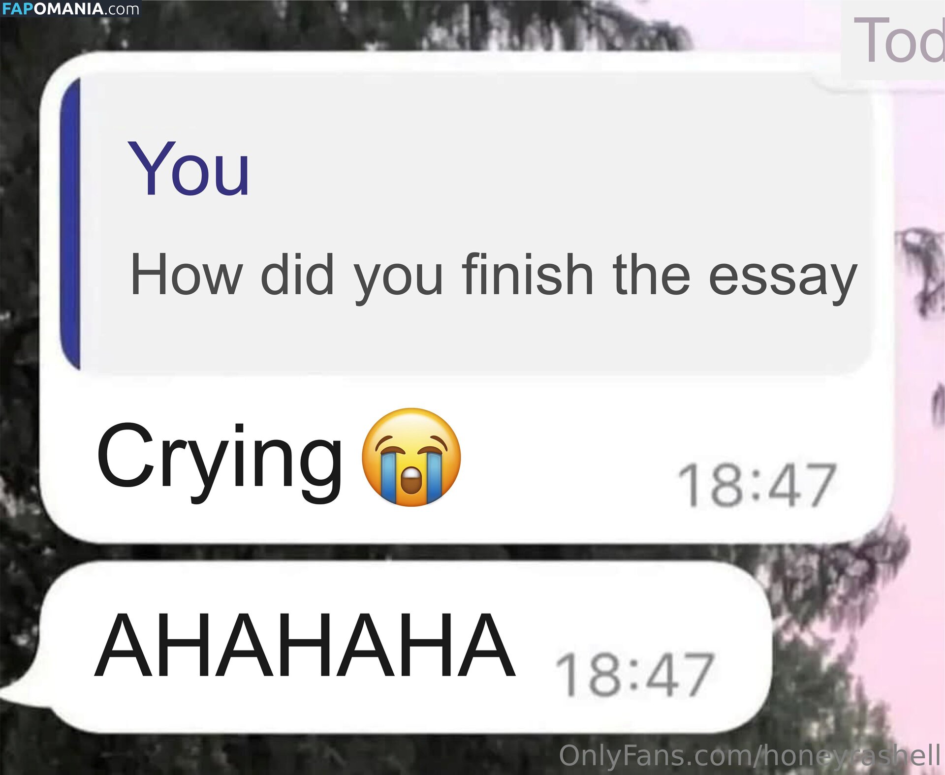 honeyrashell / honeyrashelll Nude OnlyFans  Leaked Photo #12