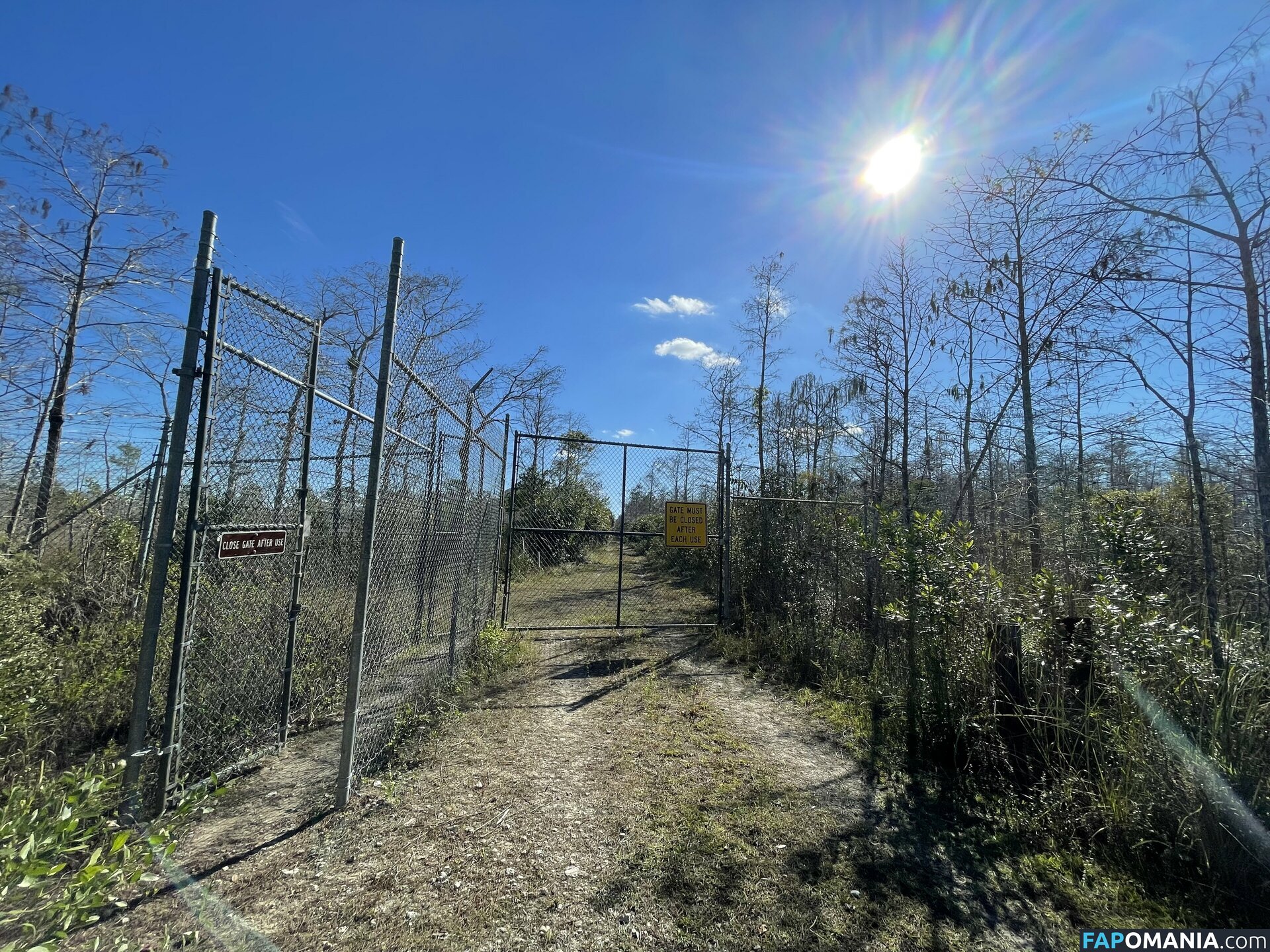 debiiworks / iambigduch Nude OnlyFans  Leaked Photo #59